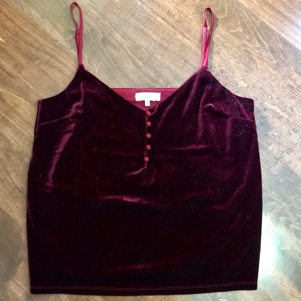 Dark Wine Red Velvet Top